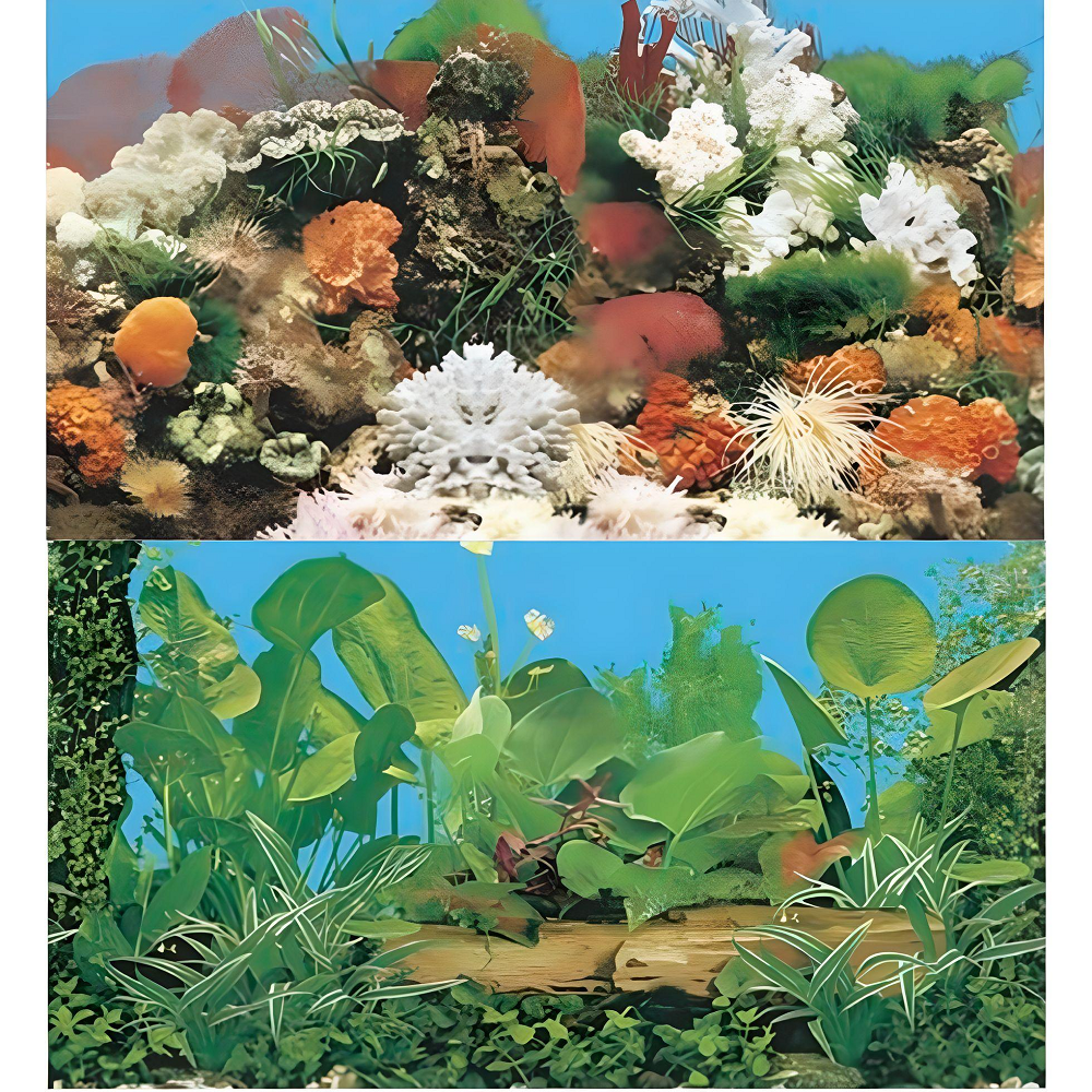 Boyu Aquarium Fish Tank Background Double Side Poster 24"(60cm)*3ft/4ft/5ft/6ft