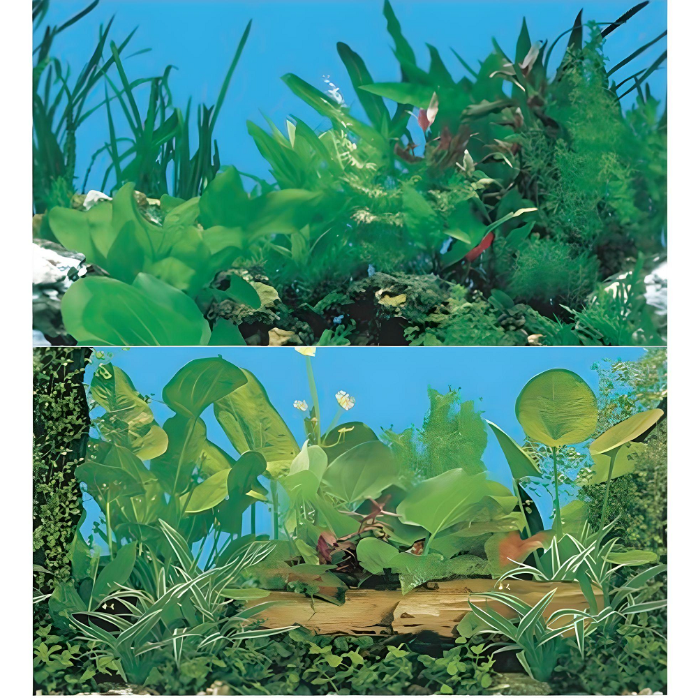 Boyu Aquarium Fish Tank Background Double Side Poster 24"(60cm)*3ft/4ft/5ft/6ft