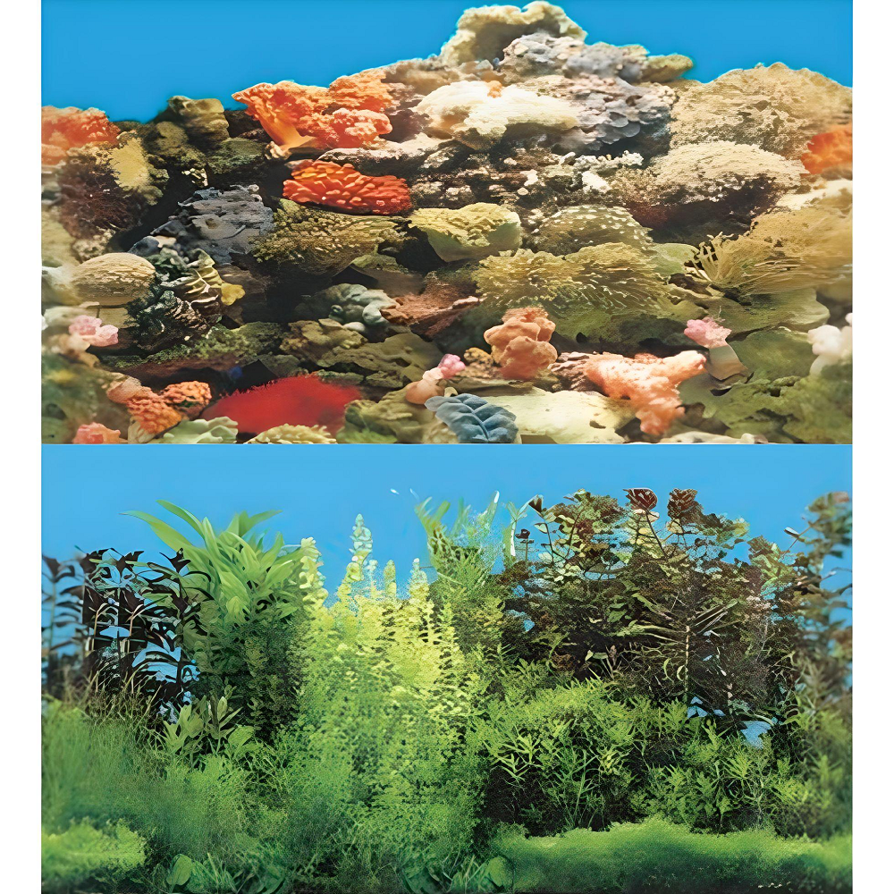 Boyu Aquarium Fish Tank Background Double Side Poster 24"(60cm)*3ft/4ft/5ft/6ft
