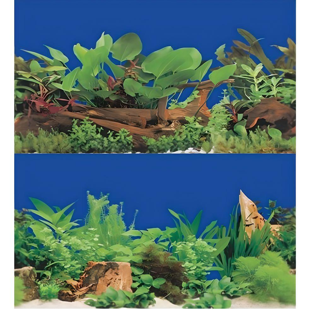 Boyu Aquarium Fish Tank Background Double Side Poster 24"(60cm)*3ft/4ft/5ft/6ft
