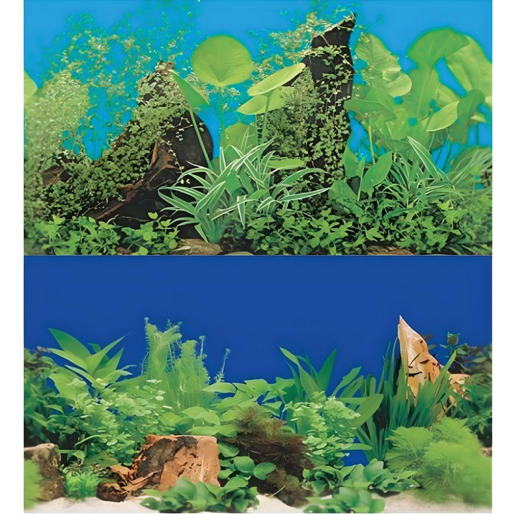 Boyu Aquarium Fish Tank Background Double Side Poster 24"(60cm)*3ft/4ft/5ft/6ft