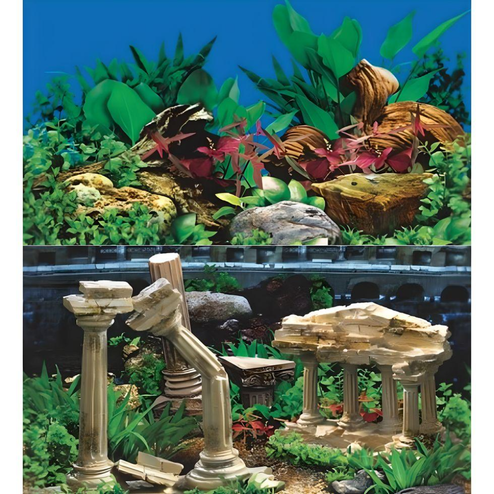 Boyu Aquarium Fish Tank Background Double Side Poster 24"(60cm)*3ft/4ft/5ft/6ft