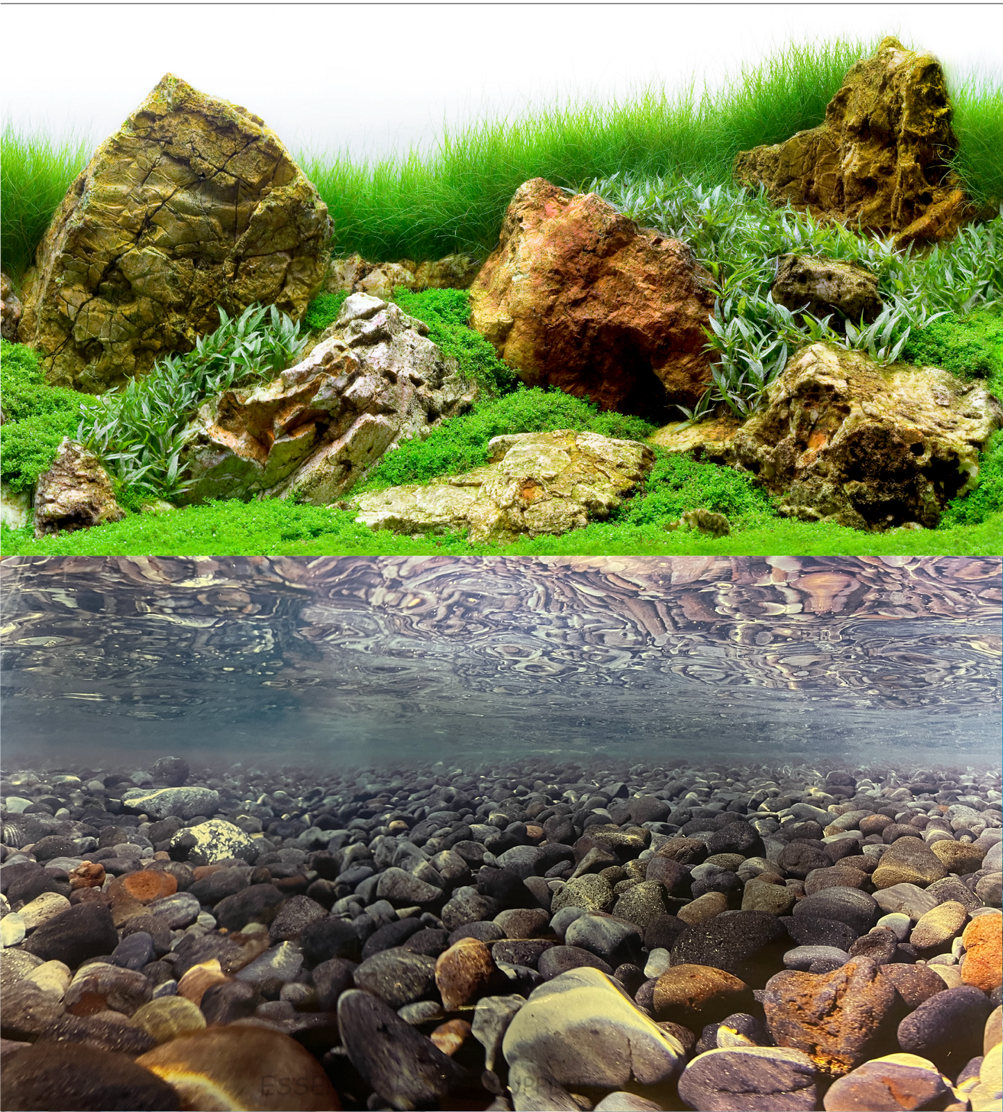 Aquarium Fish Tank Background Double Side Poster 18"(45cm)*3ft/4ft/5ft/6ft