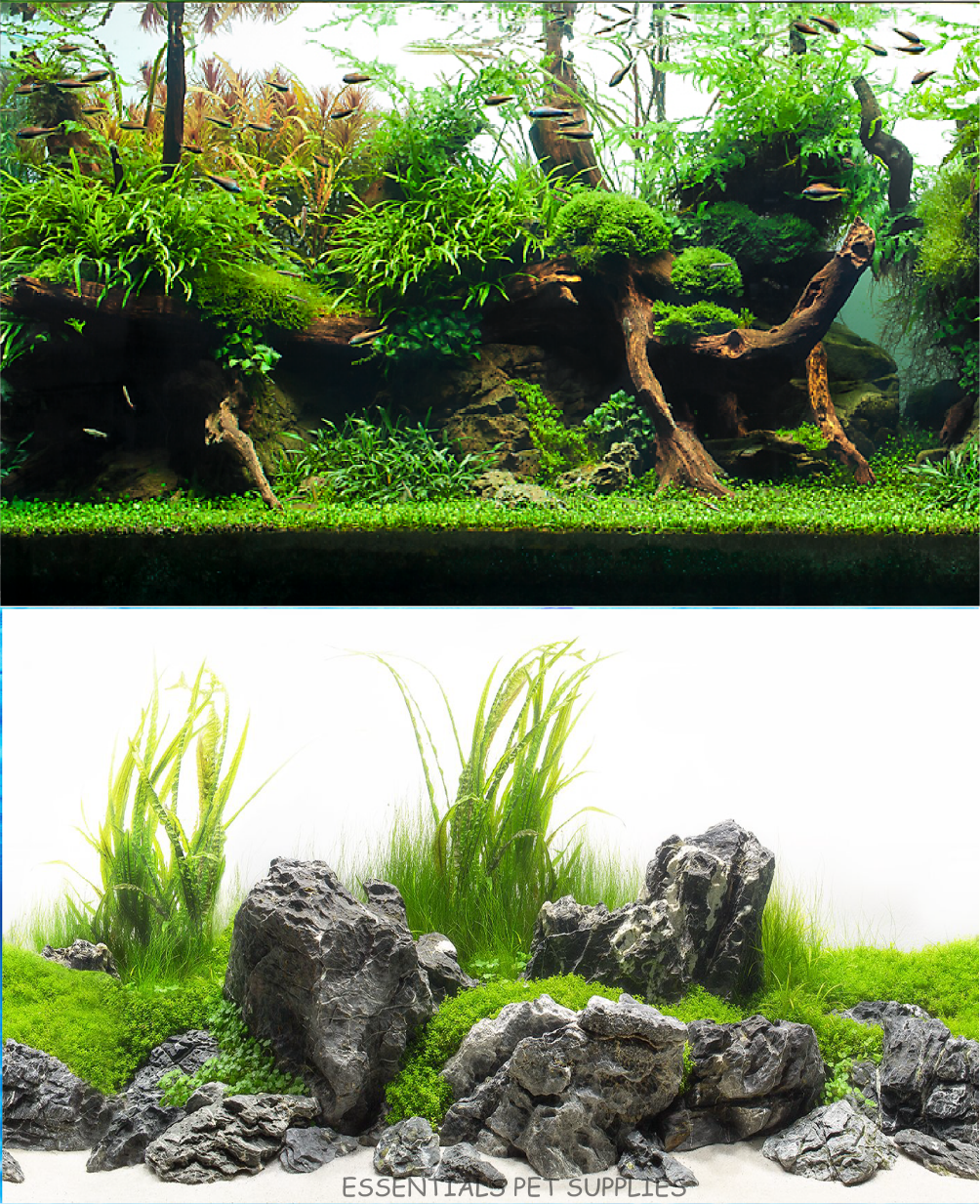 Aquarium Fish Tank Background Double Side Poster 18"(45cm)*3ft/4ft/5ft/6ft