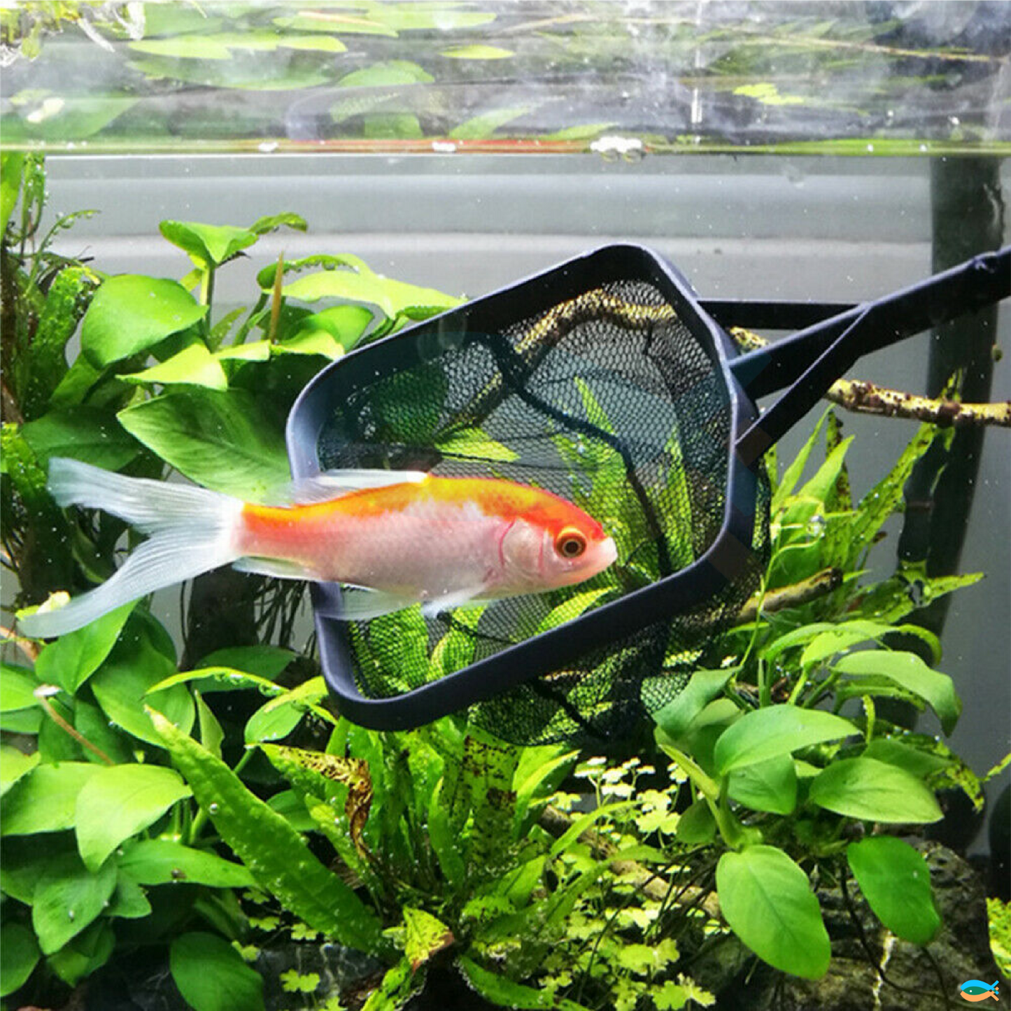 SUNSUN 4pcs fish nets square with long handle aquarium fish tank
