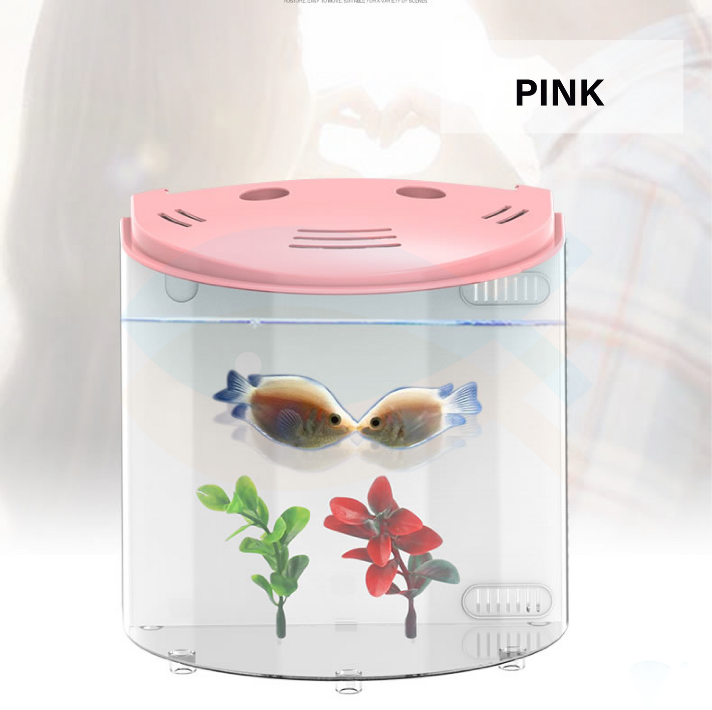 SUNSUN Small Curved Front Desktop 4L Acrylic Aquarium Fish Tank with LED Light and Filter