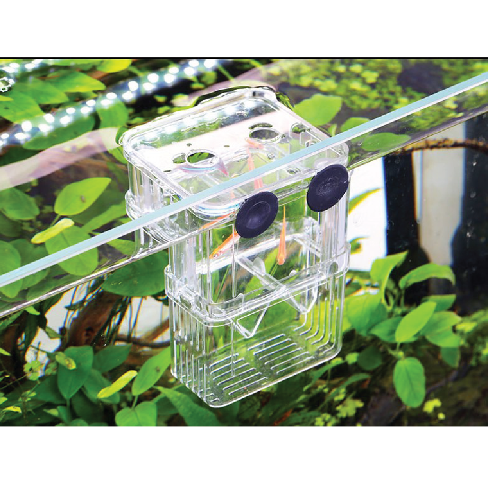 SUNSUN Fish Breeding Box Tank for Incubator Multifunctional Aquarium Isolation