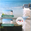 SUNSUN XUP Series 3W/5W UV Sterilization Internal Filter Multi-Functional Pump