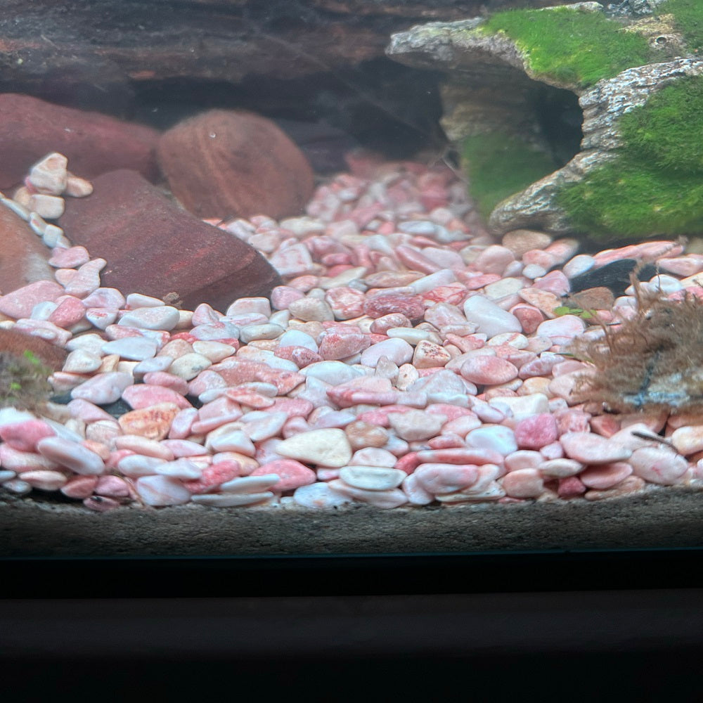 500g-4.8kg Pink Natural aquarium fish tank river gravel pebbles 6-10mm