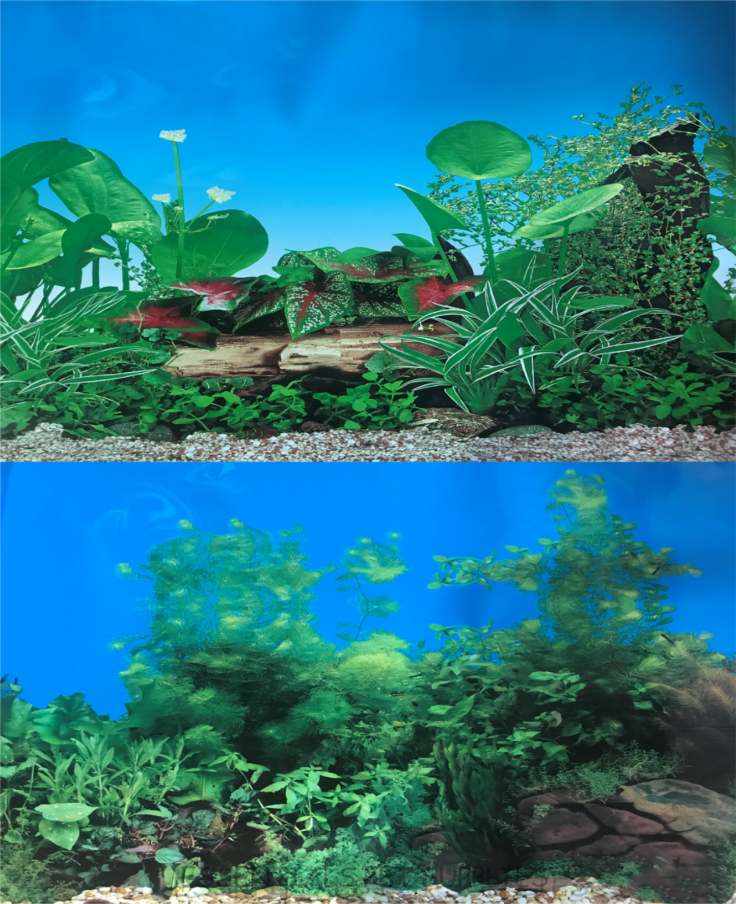Aquarium Fish Tank Background Double Side Poster 24"(60cm)*5ft(153cm)