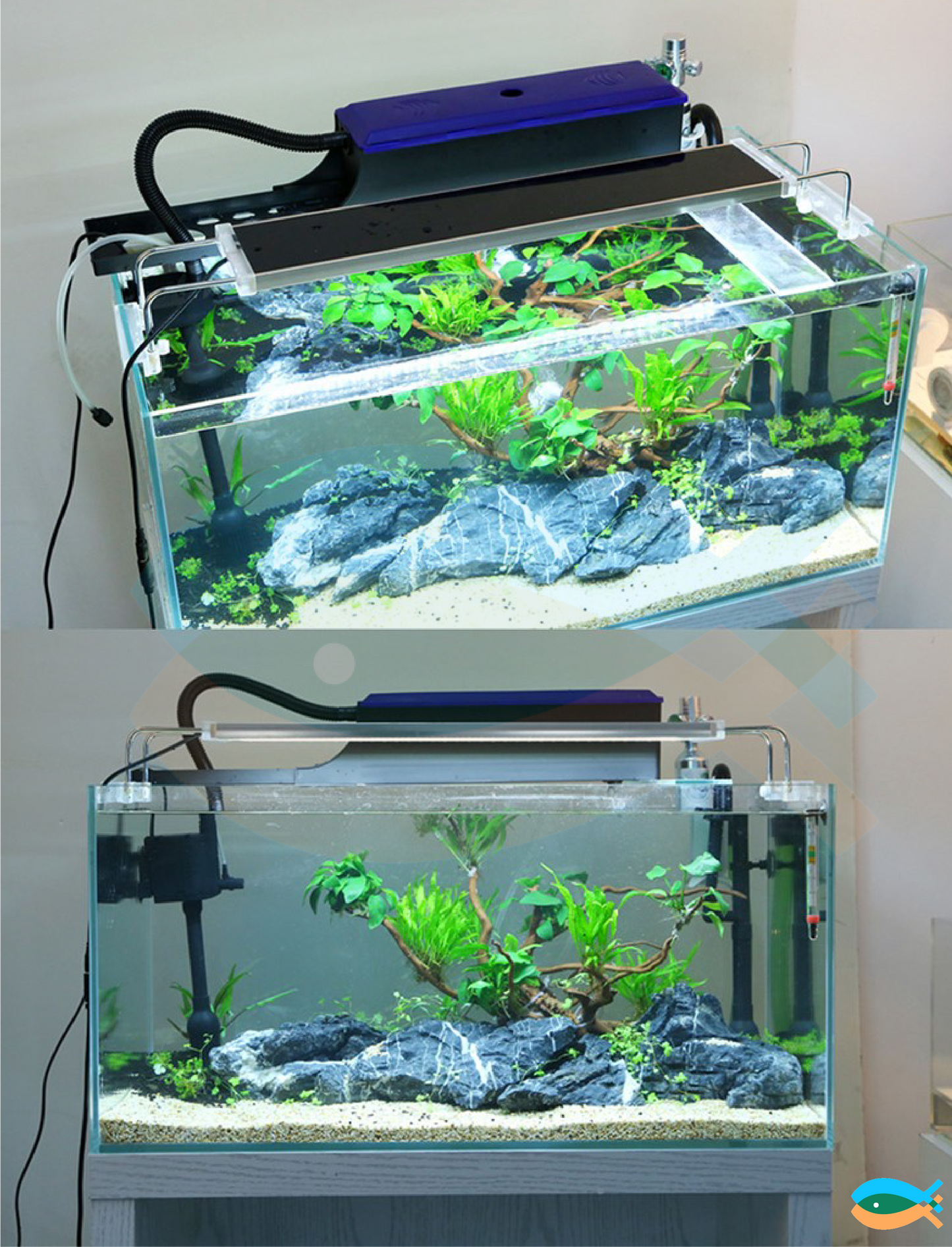 SUNSUN Aquarium Fish Tank Multifunction Filter Box and Water Pump (optional)